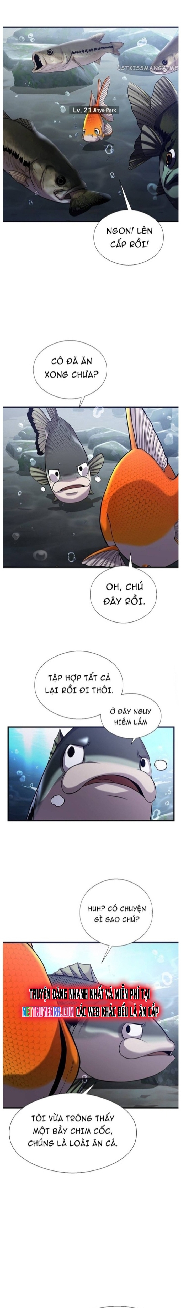 Hoá Thân Thành Cá: Chapter 40