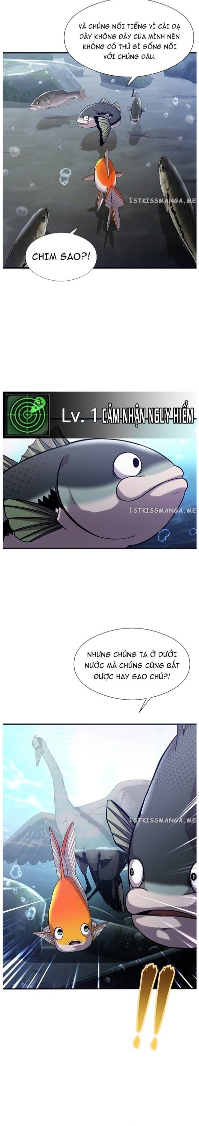 Hoá Thân Thành Cá: Chapter 40