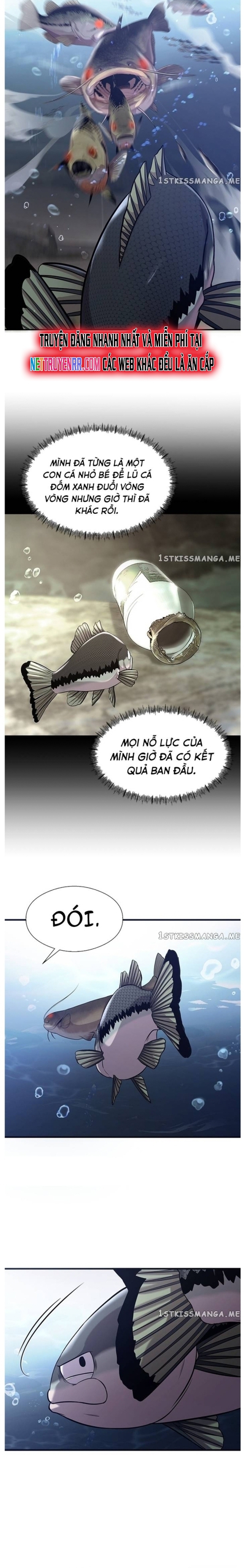 Hoá Thân Thành Cá: Chapter 40