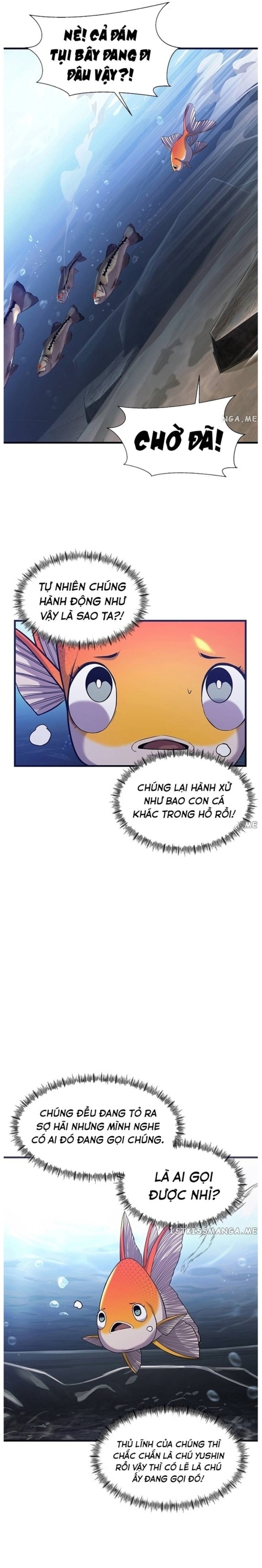 Hoá Thân Thành Cá: Chapter 41