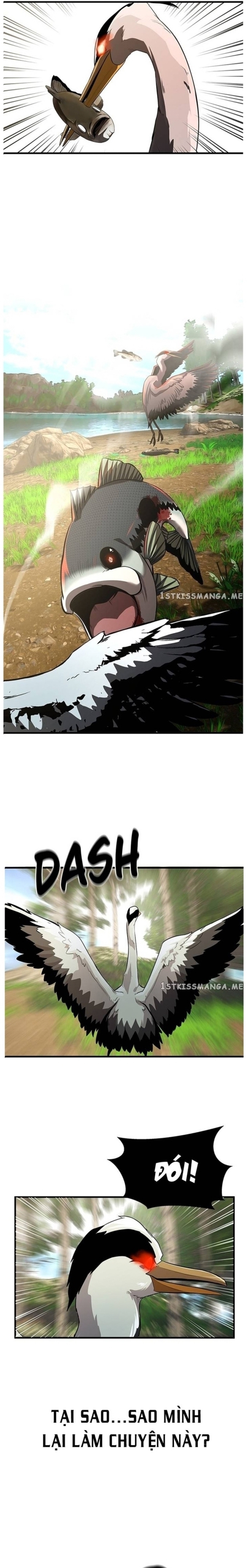 Hoá Thân Thành Cá: Chapter 41