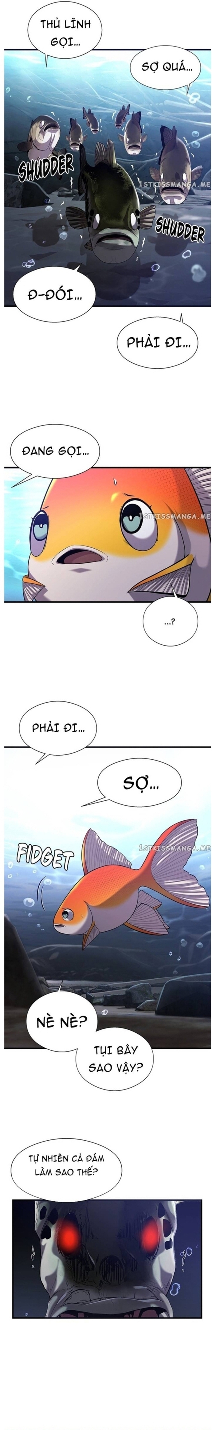 Hoá Thân Thành Cá: Chapter 41