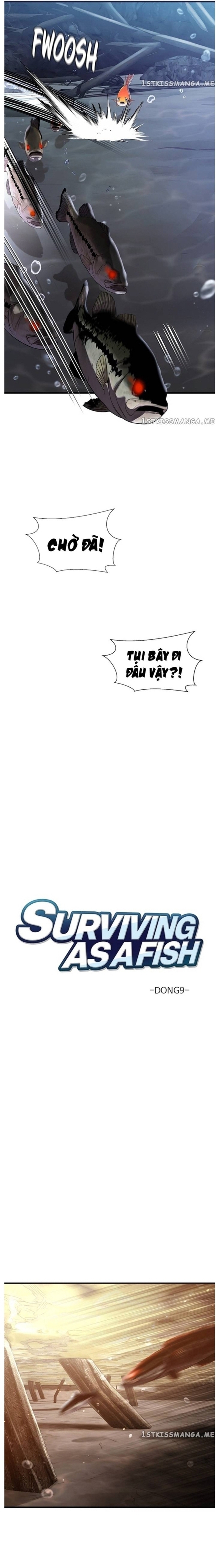 Hoá Thân Thành Cá: Chapter 41