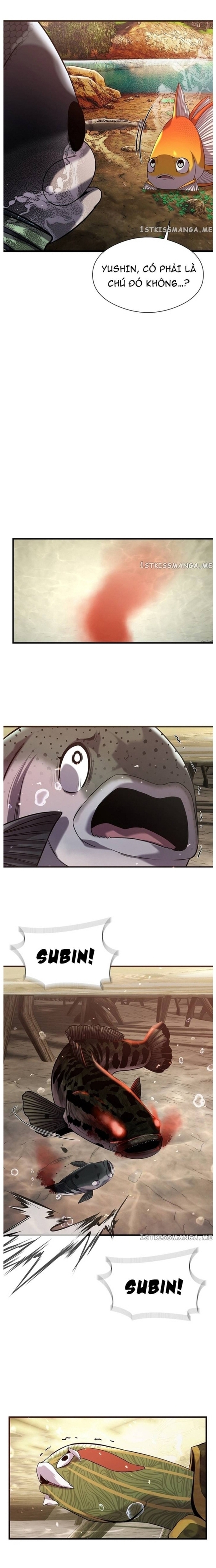 Hoá Thân Thành Cá: Chapter 42