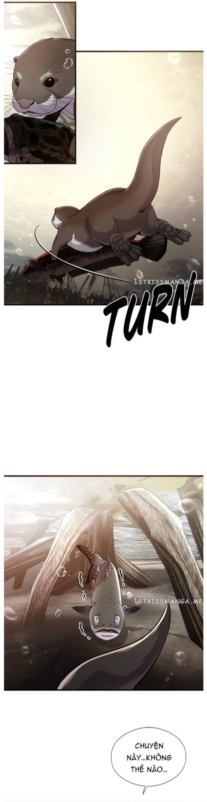 Hoá Thân Thành Cá: Chapter 43