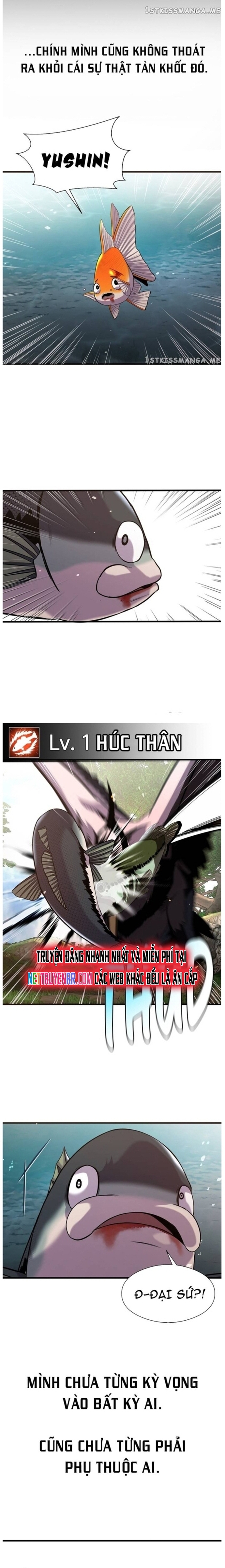 Hoá Thân Thành Cá: Chapter 44