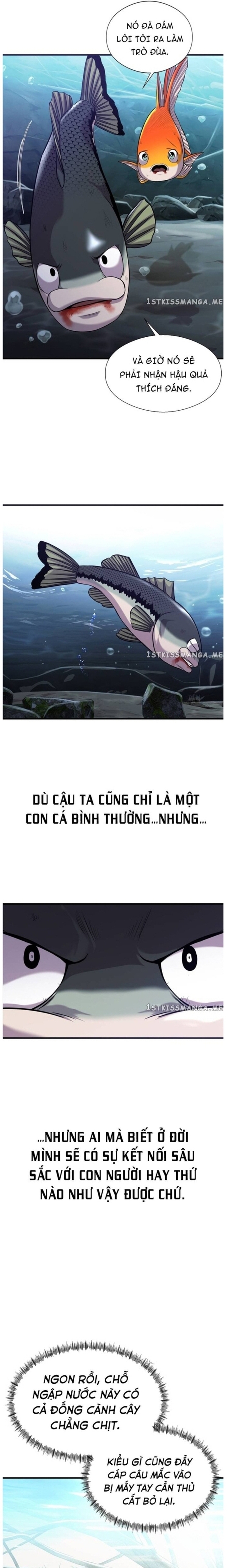 Hoá Thân Thành Cá: Chapter 44