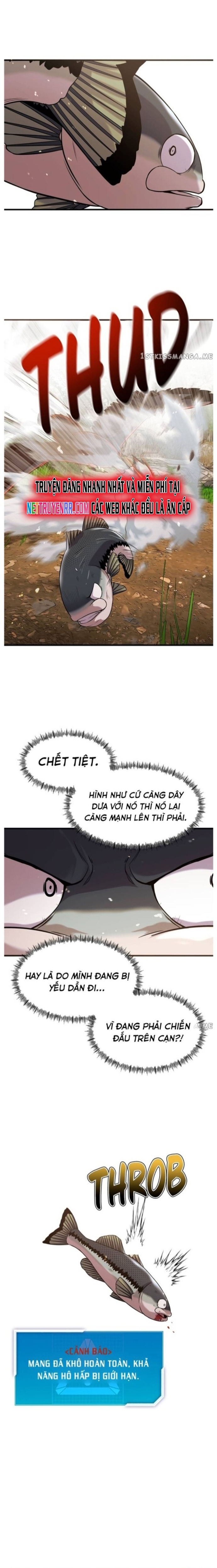 Hoá Thân Thành Cá: Chapter 44
