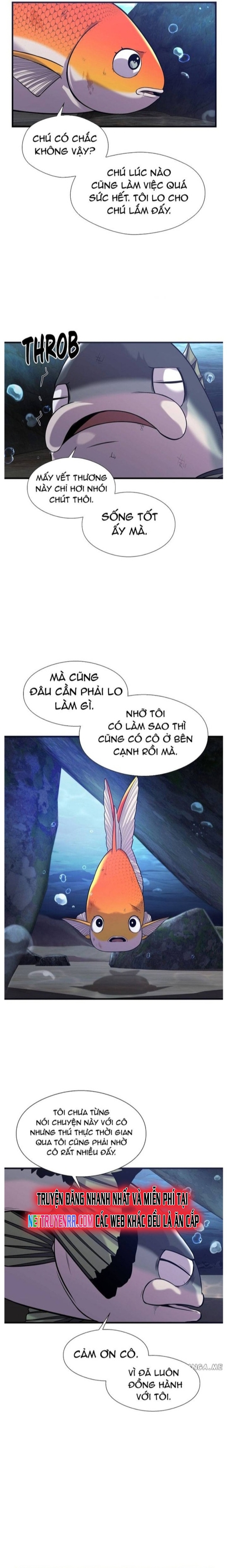 Hoá Thân Thành Cá: Chapter 46