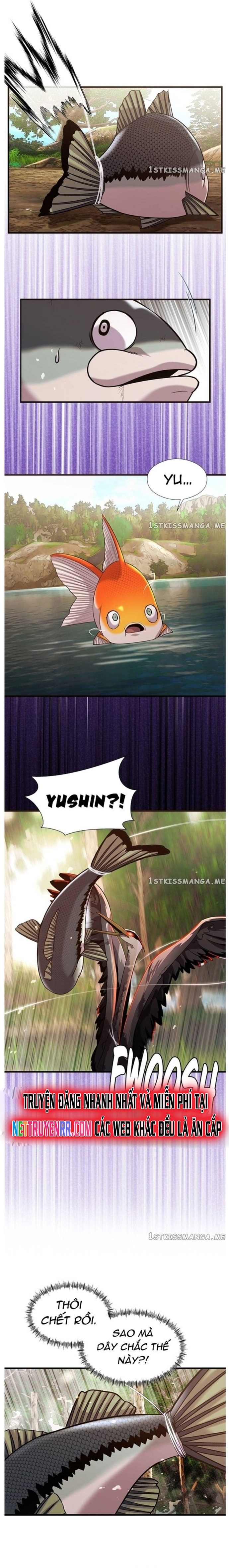 Hoá Thân Thành Cá: Chapter 46