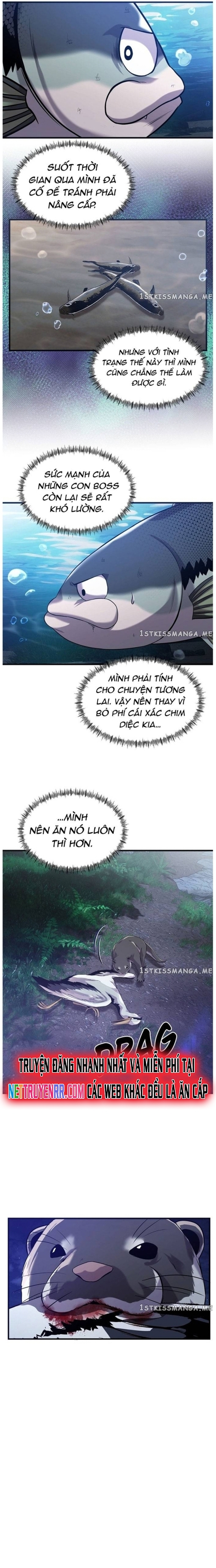 Hoá Thân Thành Cá: Chapter 47