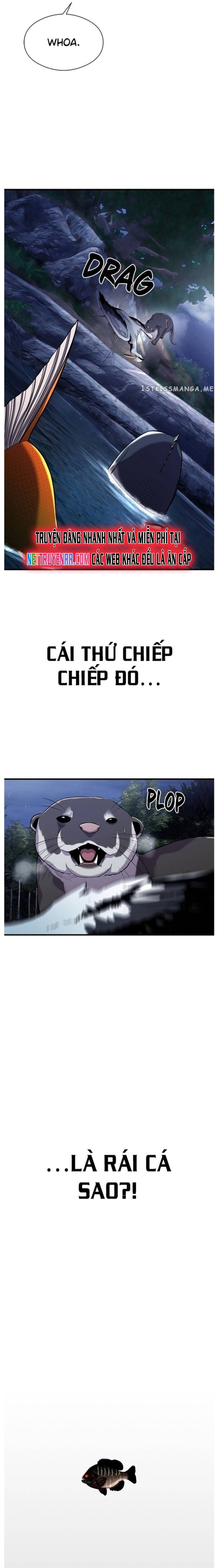 Hoá Thân Thành Cá: Chapter 47