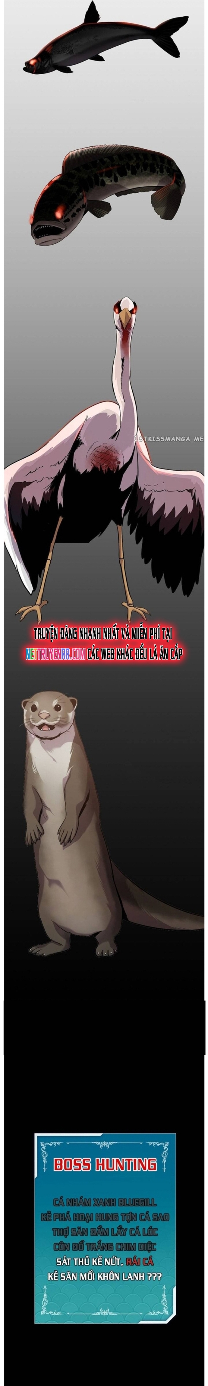 Hoá Thân Thành Cá: Chapter 47