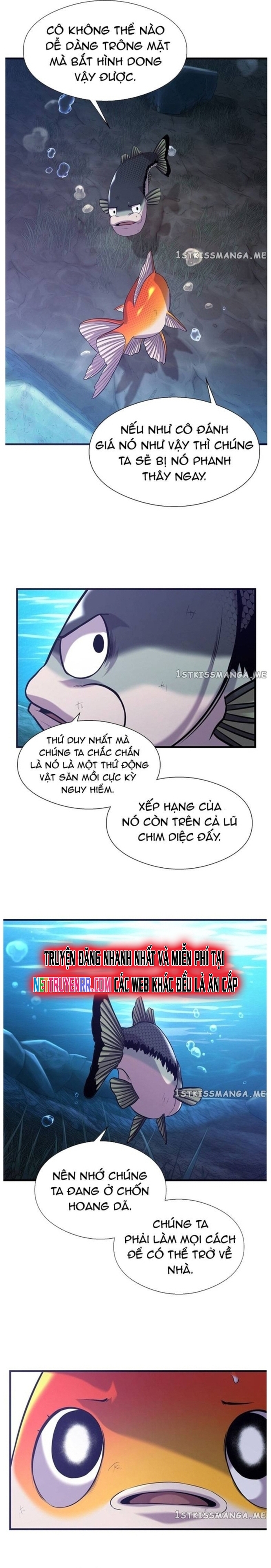 Hoá Thân Thành Cá: Chapter 48