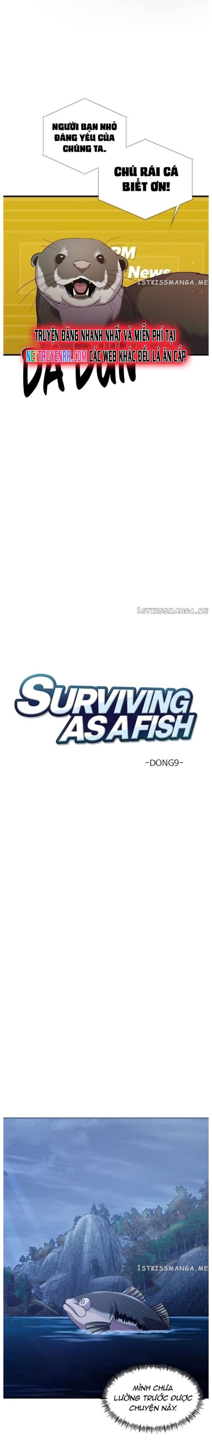 Hoá Thân Thành Cá: Chapter 48