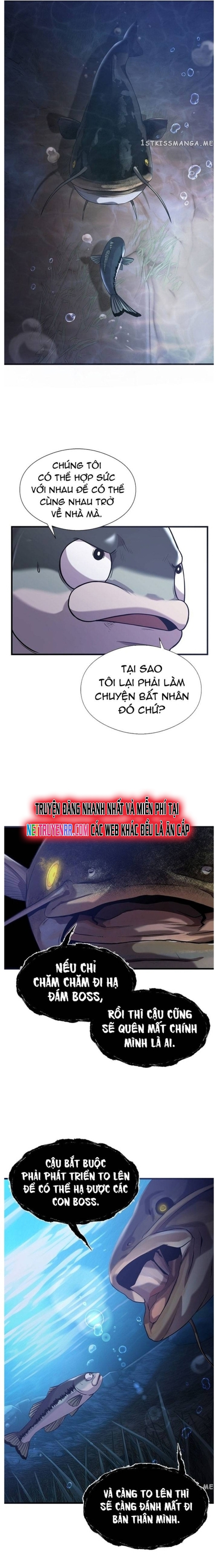 Hoá Thân Thành Cá: Chapter 49