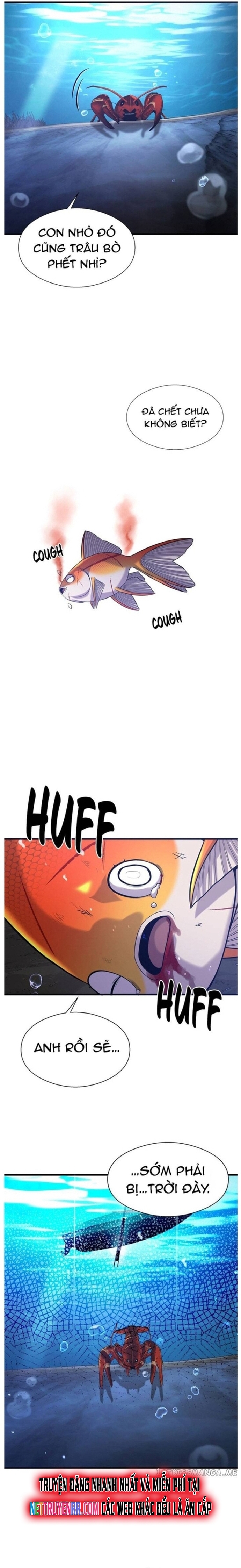 Hoá Thân Thành Cá: Chapter 49