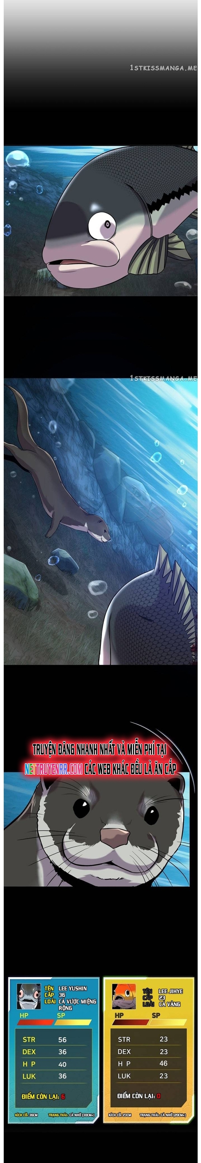 Hoá Thân Thành Cá: Chapter 49