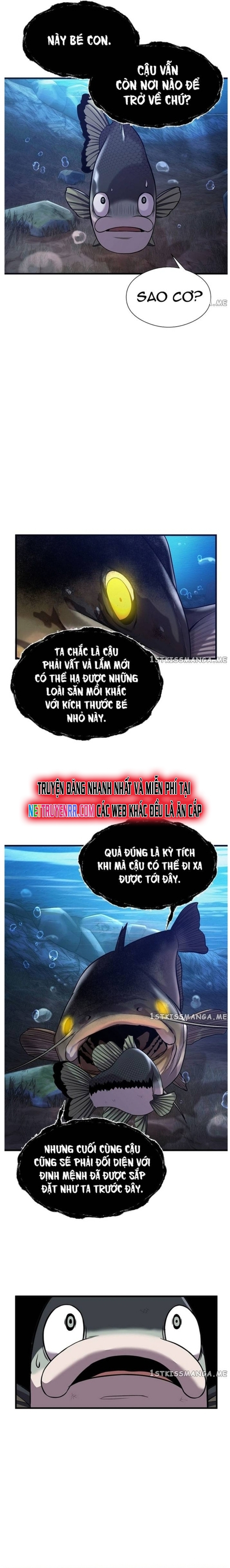 Hoá Thân Thành Cá: Chapter 49