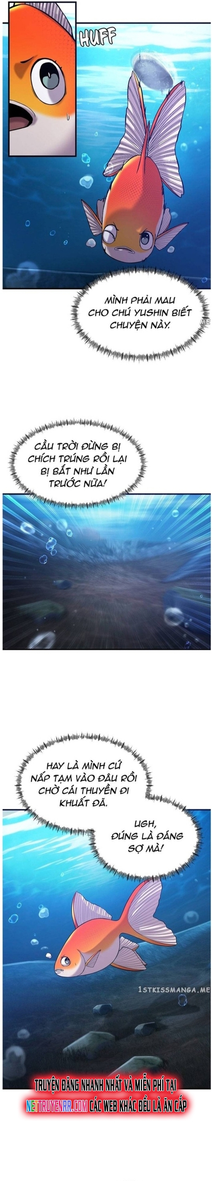 Hoá Thân Thành Cá: Chapter 49