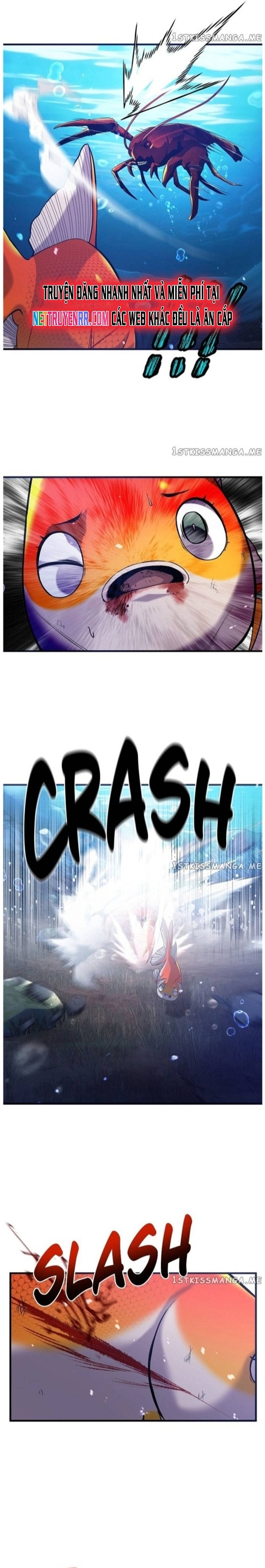 Hoá Thân Thành Cá: Chapter 49