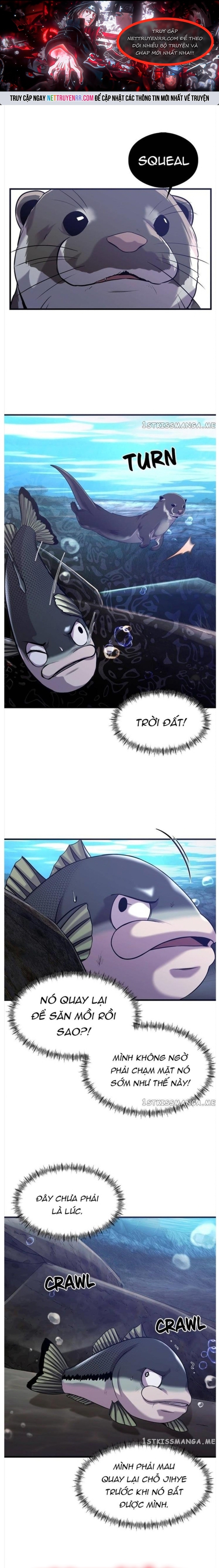 Hoá Thân Thành Cá: Chapter 50