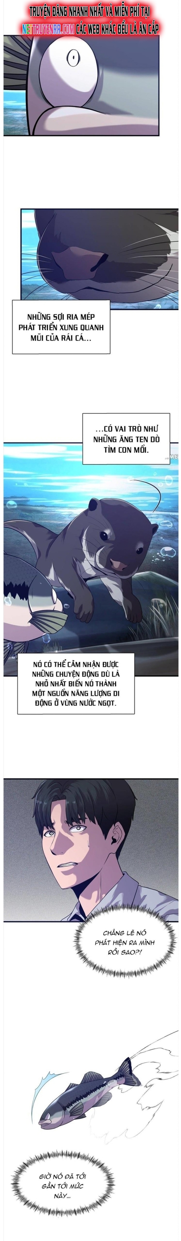 Hoá Thân Thành Cá: Chapter 50