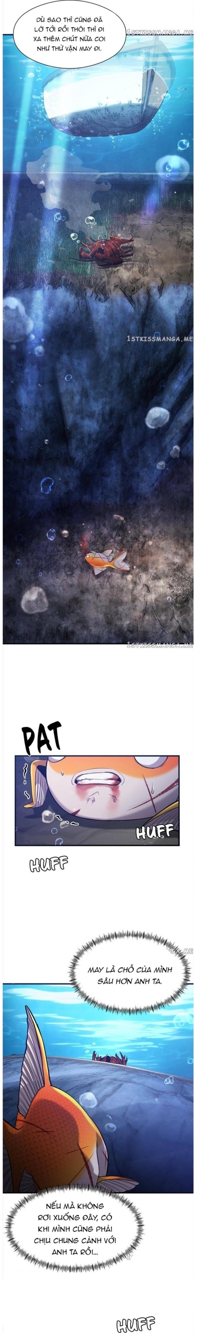 Hoá Thân Thành Cá: Chapter 50