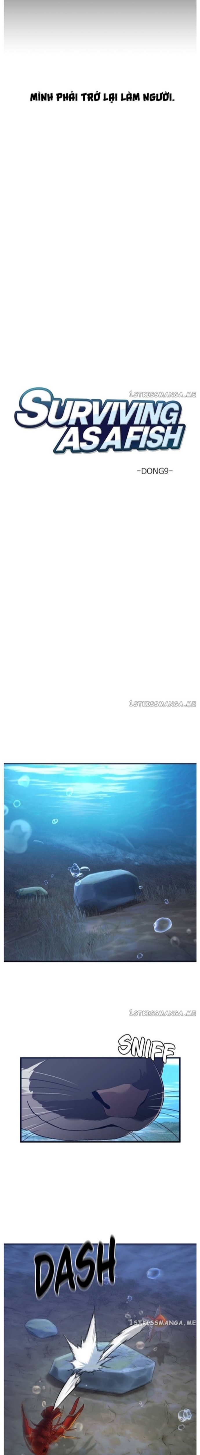 Hoá Thân Thành Cá: Chapter 51