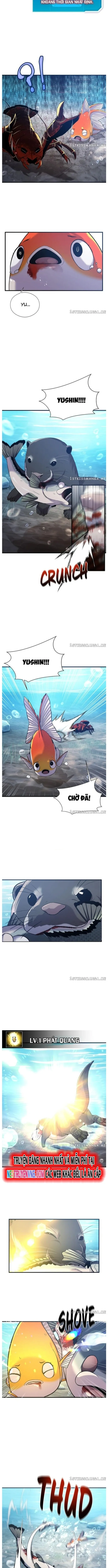 Hoá Thân Thành Cá: Chapter 52