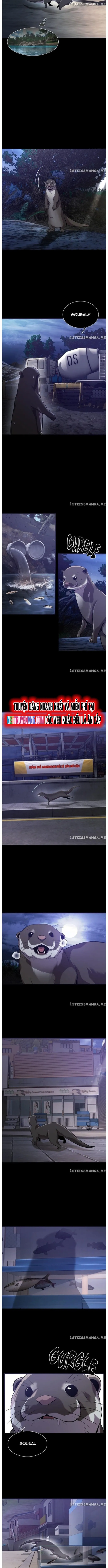 Hoá Thân Thành Cá: Chapter 52