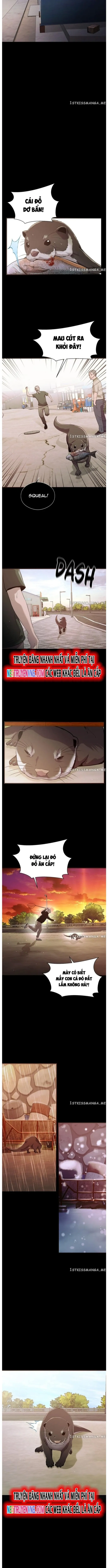 Hoá Thân Thành Cá: Chapter 52