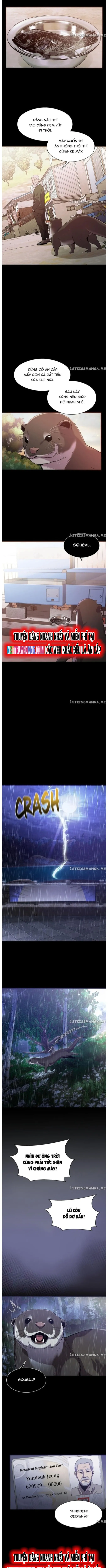 Hoá Thân Thành Cá: Chapter 52
