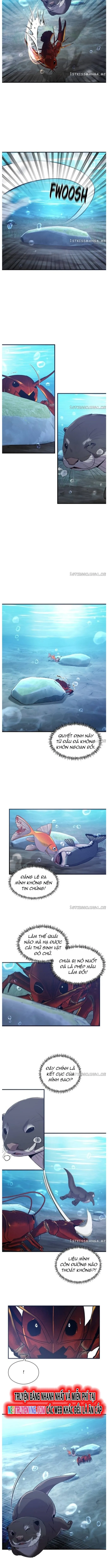 Hoá Thân Thành Cá: Chapter 53