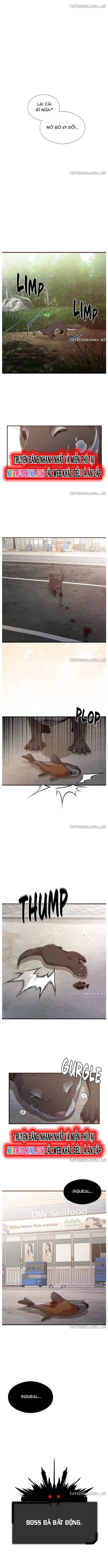 Hoá Thân Thành Cá: Chapter 53