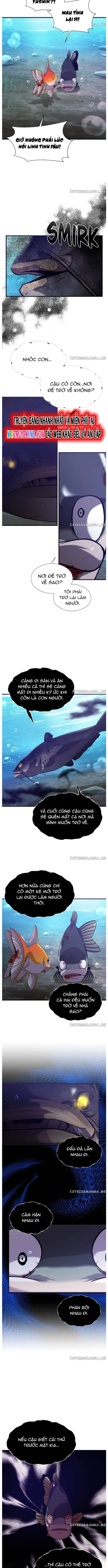 Hoá Thân Thành Cá: Chapter 53