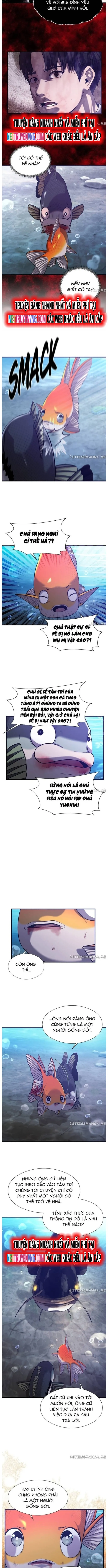 Hoá Thân Thành Cá: Chapter 53