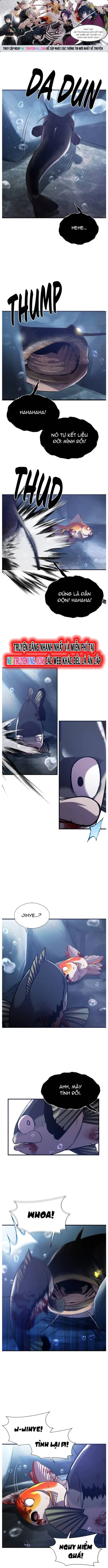 Hoá Thân Thành Cá: Chapter 55