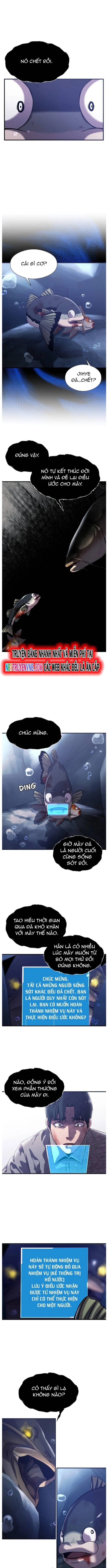 Hoá Thân Thành Cá: Chapter 55