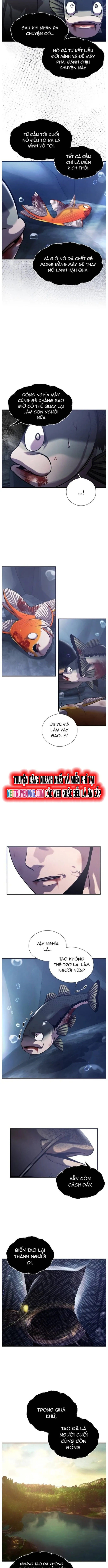 Hoá Thân Thành Cá: Chapter 55