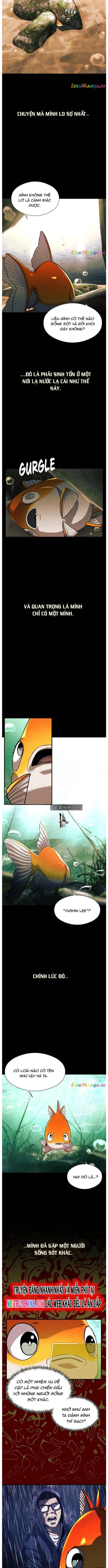 Hoá Thân Thành Cá: Chapter 56