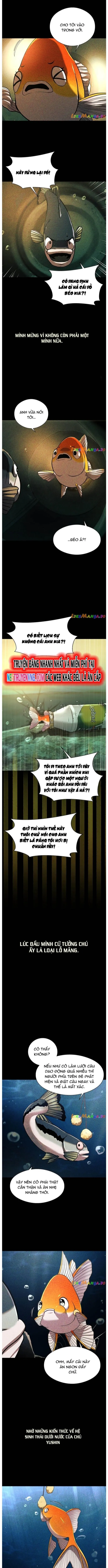 Hoá Thân Thành Cá: Chapter 56