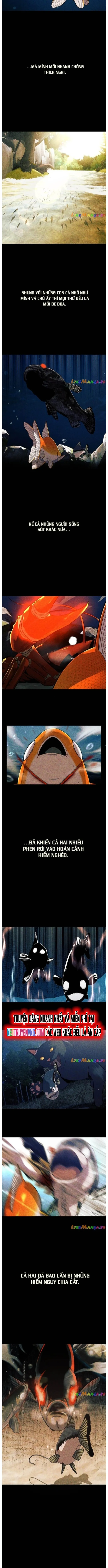 Hoá Thân Thành Cá: Chapter 56