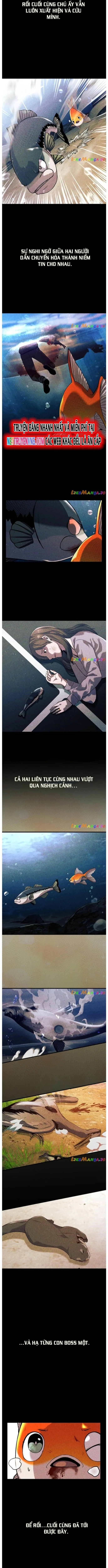 Hoá Thân Thành Cá: Chapter 56