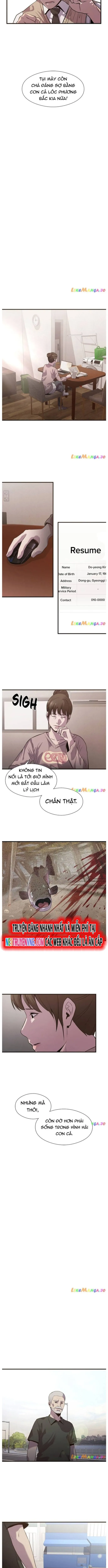 Hoá Thân Thành Cá: Chapter 60
