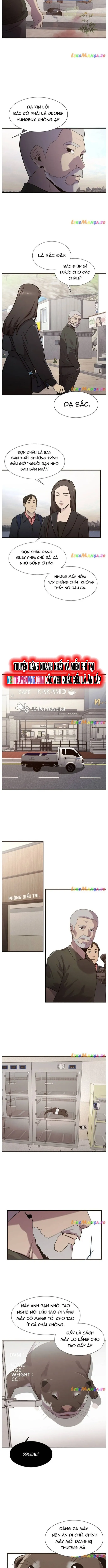 Hoá Thân Thành Cá: Chapter 60