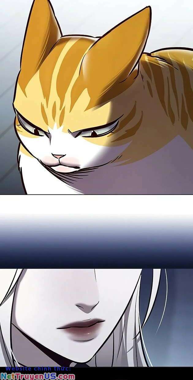 Hoá Thân Thành Mèo: Chapter 270