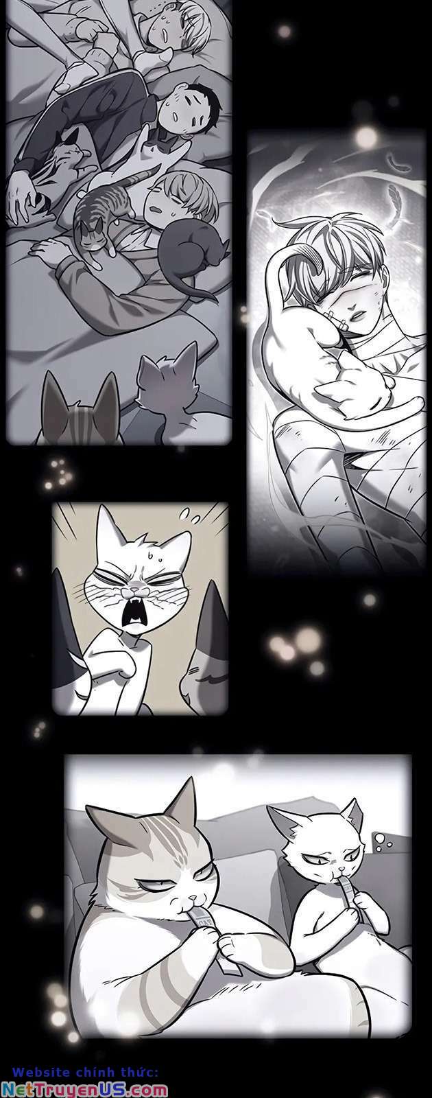 Hoá Thân Thành Mèo: Chapter 270