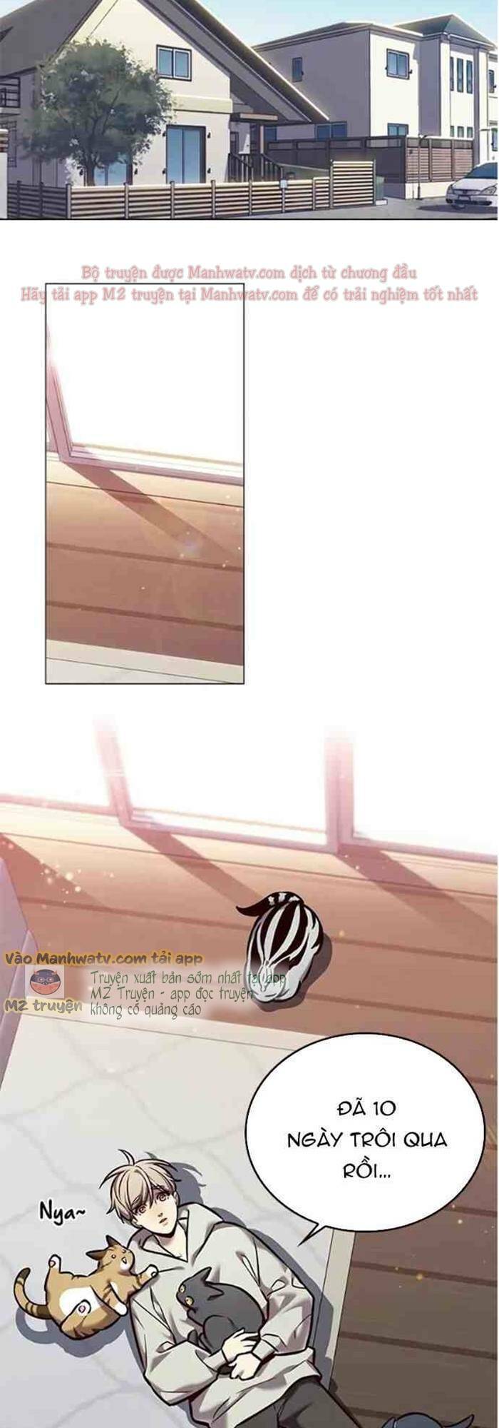 Hoá Thân Thành Mèo: Chapter 271