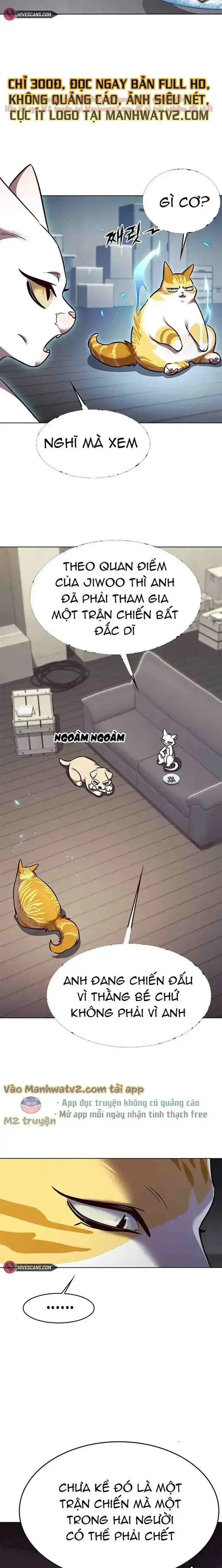 Hoá Thân Thành Mèo: Chapter 304
